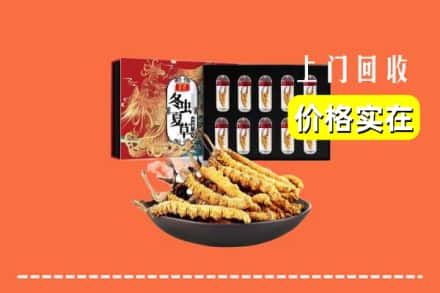 苏州相城区回收冬虫夏草