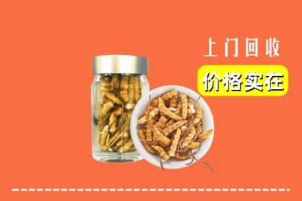 苏州相城区回收散虫草
