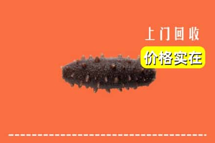 苏州相城区回收海参