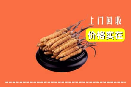 苏州相城区回收冬虫夏草